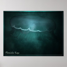 Florida Keys Jellyfish Print