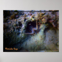 Florida Keys Lobster Poster