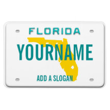Florida License Plate (personalized) Rectangle Magnets