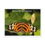 Florida Museum  Butterfly Rainforest Postcard