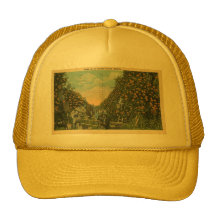 Florida Orange grove Cap Hats