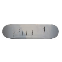 Florida Pelicans Birds Flight Clouds Skateboard skateboards