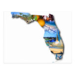 FLORIDA PICTURE DESIGN POSTCARDS