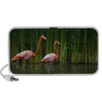 FLORIDA PINK FLAMINGO speakers