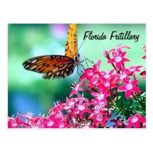 Florida Post Card