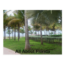 florida postcard
