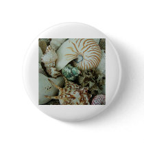 Florida Sea Shells Button