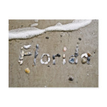 Florida Seashell Postcard