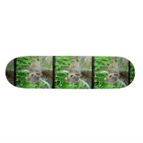 Florida Squirrel Walking In Grass Skateboard skateboards