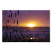 Florida Sunrise Photo Art