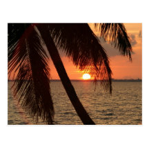 Florida Sunset Post Card