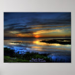 Florida Sunset posters
