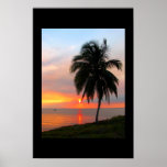Florida sunset posters