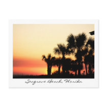 Florida Sunset Seagrove Beach Palm Trees Postcards