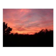 Florida West Coast Sunset Postcard