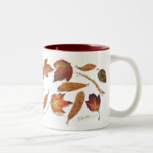 Florida wetand leaves mug