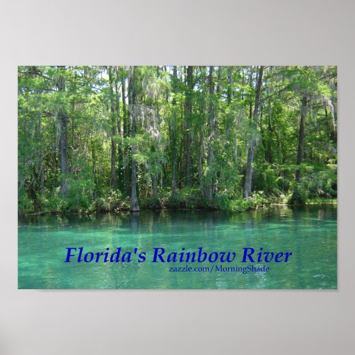 Florida's Rainbow River Posters