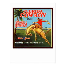 Floriday Cowboy Postcards