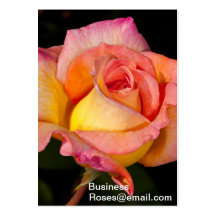 Florist Business Cards