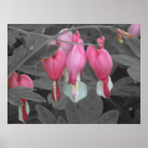 Flower2 Posters