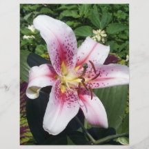 flower#3 flyers