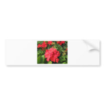 Flower 4 bumper stickers