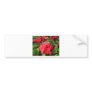 Flower 4 bumper stickers