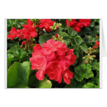 Flower 4 greeting card