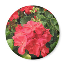 Flower 4 refrigerator magnets