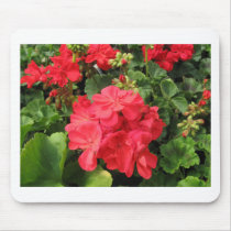 Flower 4 mousepad