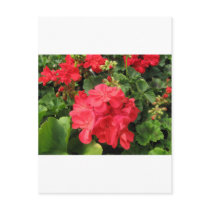 Flower 4 post card