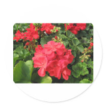 Flower 4 round sticker
