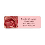 Flower Address Labels Pink Rose labels