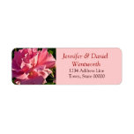 Flower Address Labels Pink Rose labels
