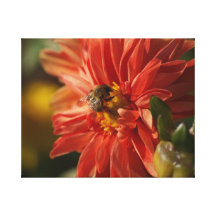 Flower and Bee Stretched Canvas Print