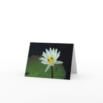Flower-and-Bees Greeting Cards