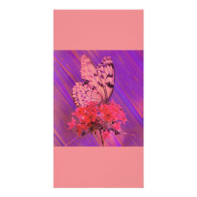 Flower and Butterfly in Pink and Purple Photo Cards