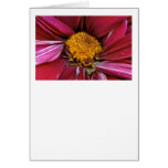 Flower - At the center of it all Greeting Card