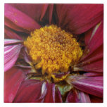 Flower - At the center of it all Tiles
