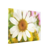 Flower Bouquet - White Daisy Canvas Print