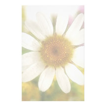 Flower Bouquet - White Daisy Stationery Design