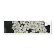 flower bumper sticker