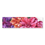 Flower Bursts