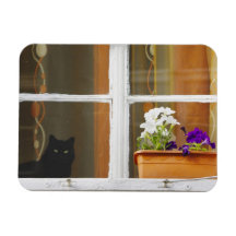 Flower by the window, Sighisoara, Romania Rectangular Magnet