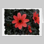 Flower card cards