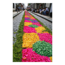 Flower carpet art photo