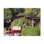 Flower Cart Post Card