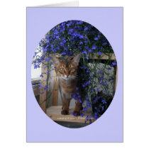 Flower Cat (oval) Card