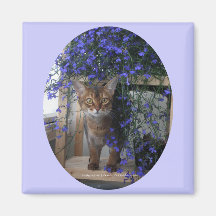 Flower Cat (oval) Fridge Magnets