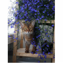Flower Cat Cut Outs